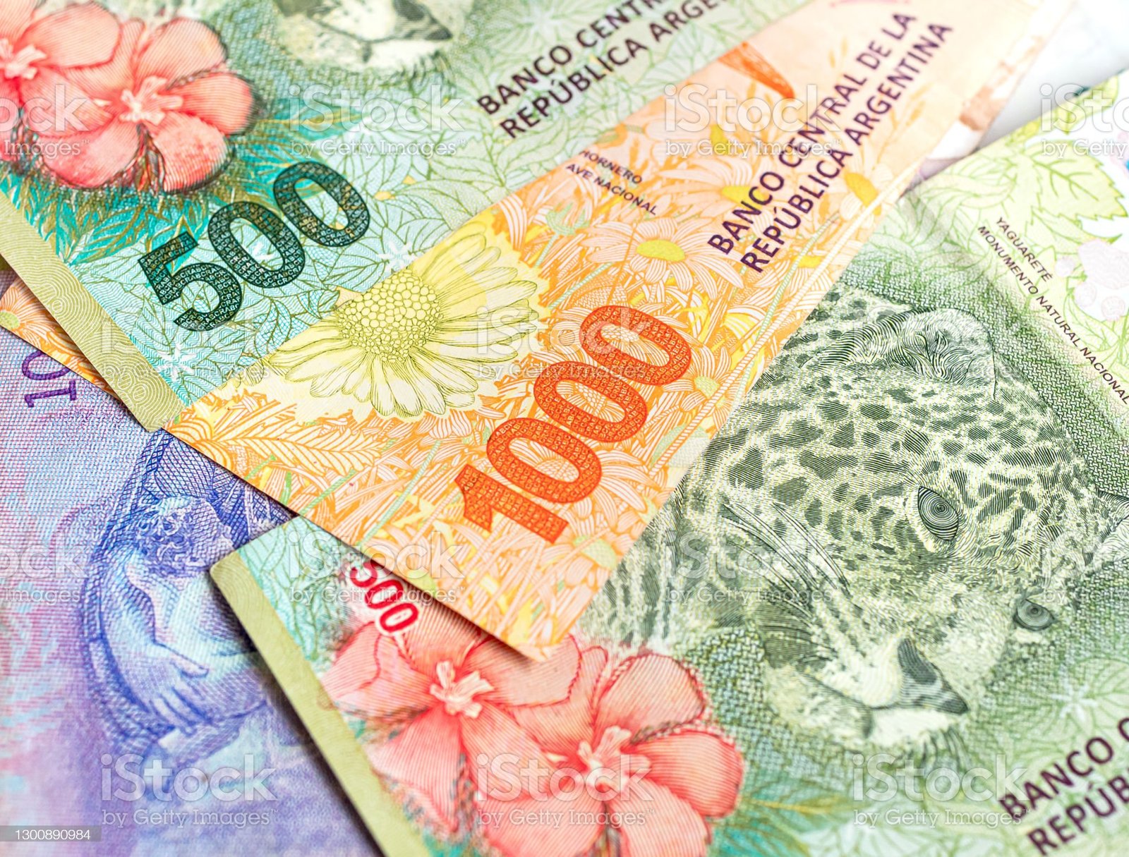 Informe Económicas UNdAv: panorama económico