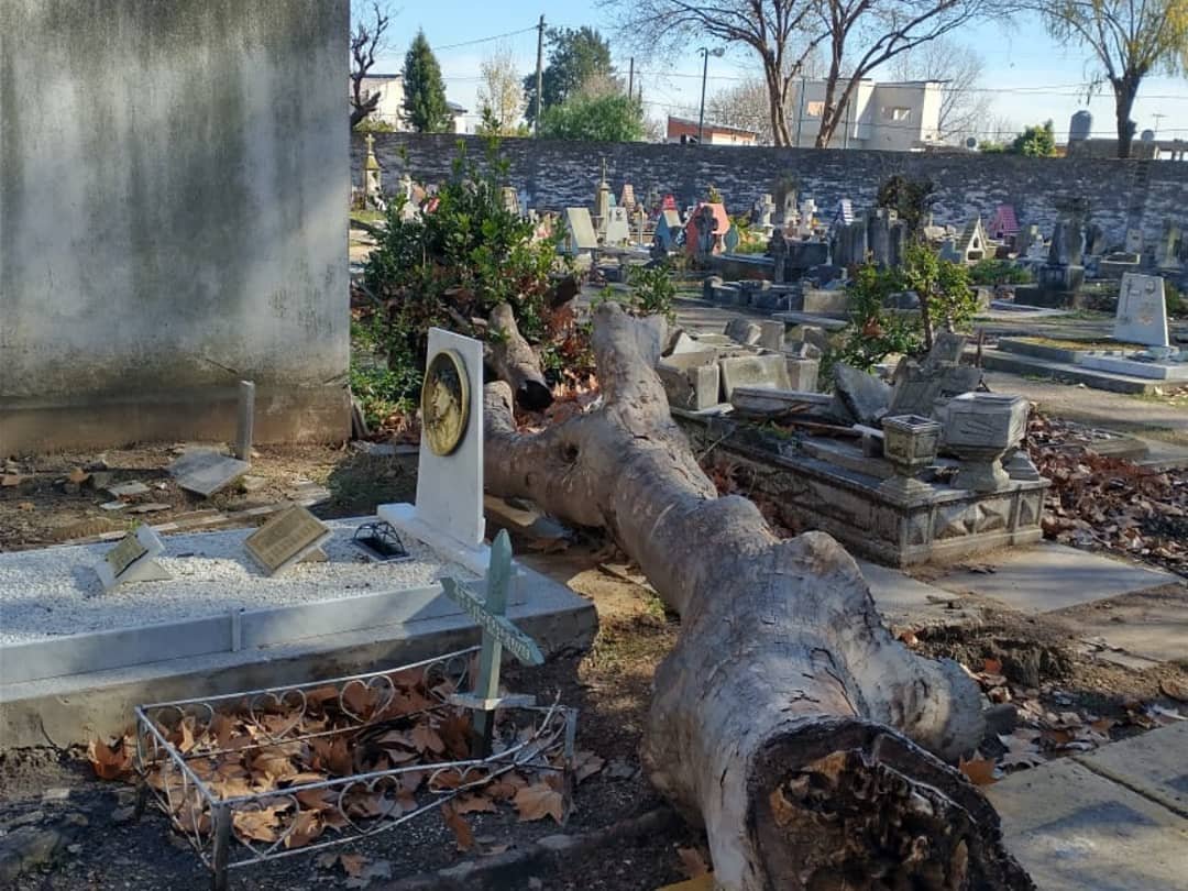 Denuncian «crisis terminal» en el cementerio de Municipal de Lomas de Zamora