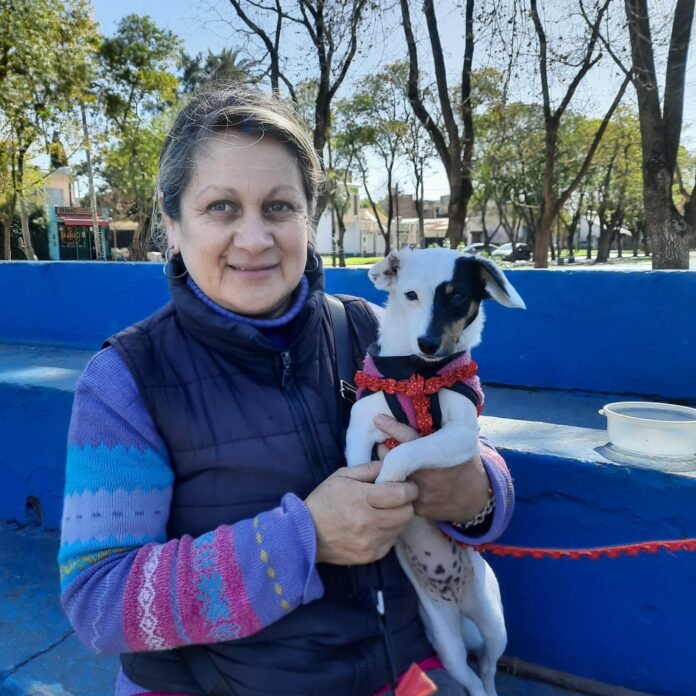 perro4
