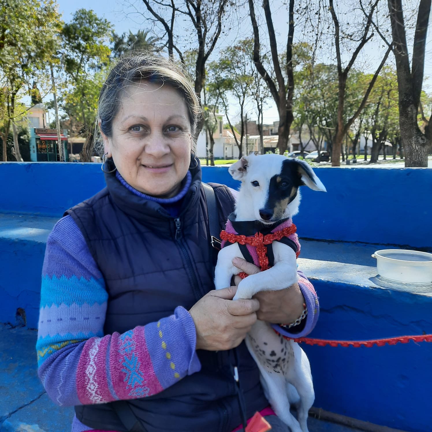 Zoonosis Brown vacunó y desparasitó a 2500 mascotas durante una jornada en diversas localidades de la comuna
