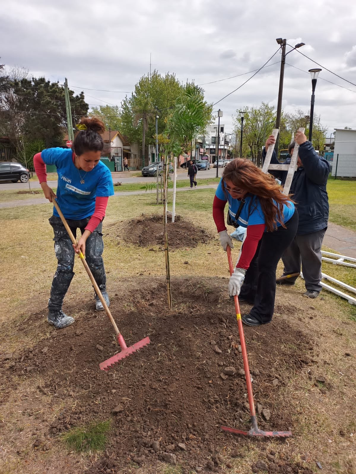 El Municipio de Brown realizó una jornada de forestación en la estación Longchamps