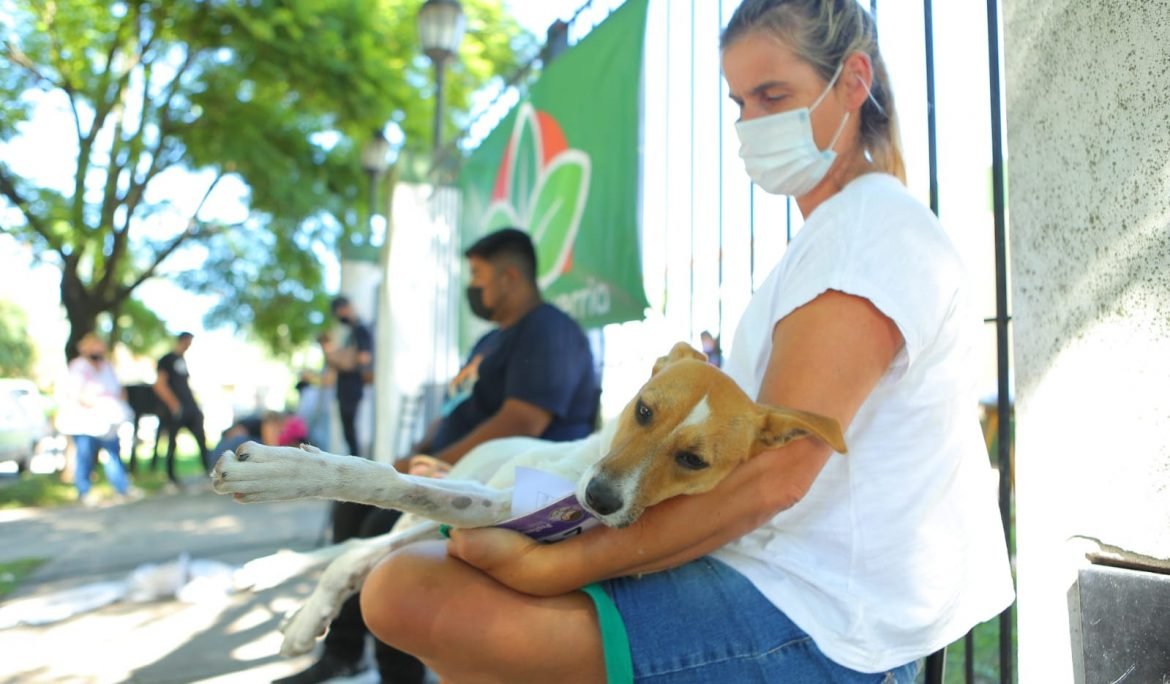 Vacunación antirrábica y control de mascotas en Monte Grande Sur