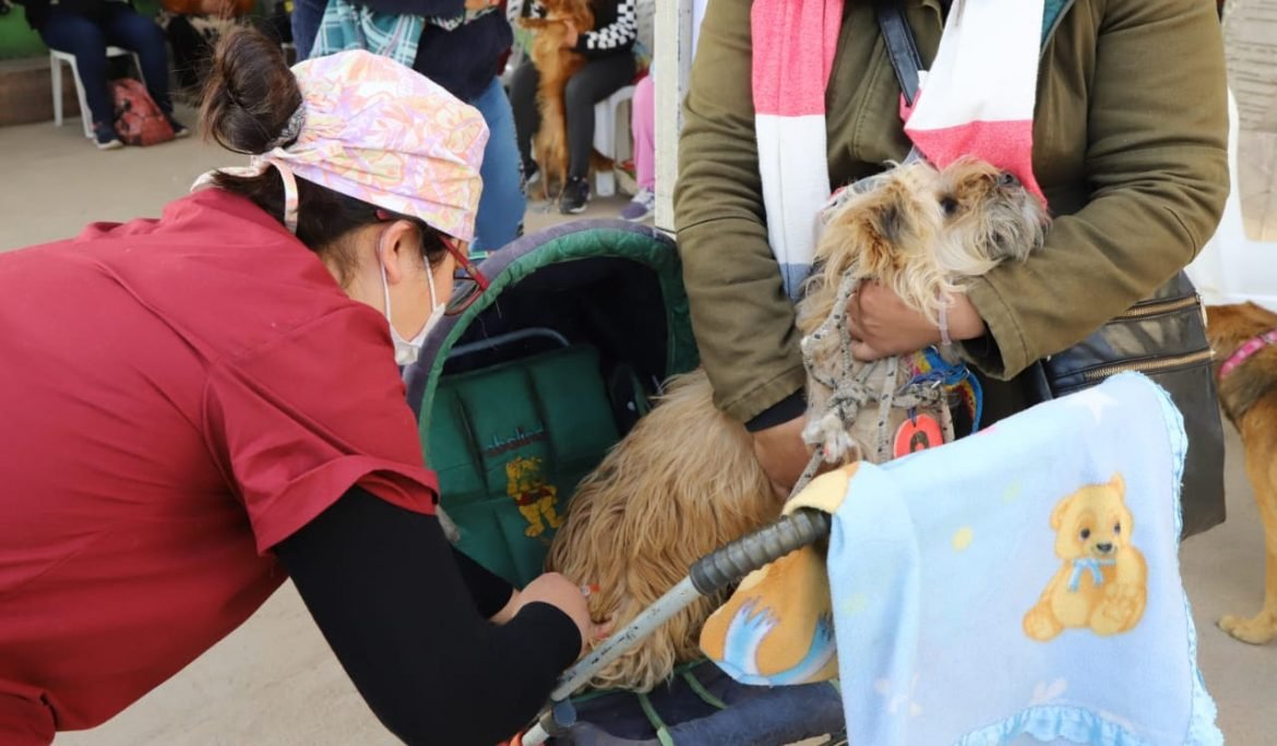 Operativo de vacunación antirrábica en El Jagüel