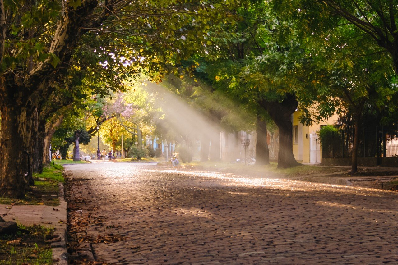 Extienden convocatoria al segundo concurso de fotografía ambiental de Brown