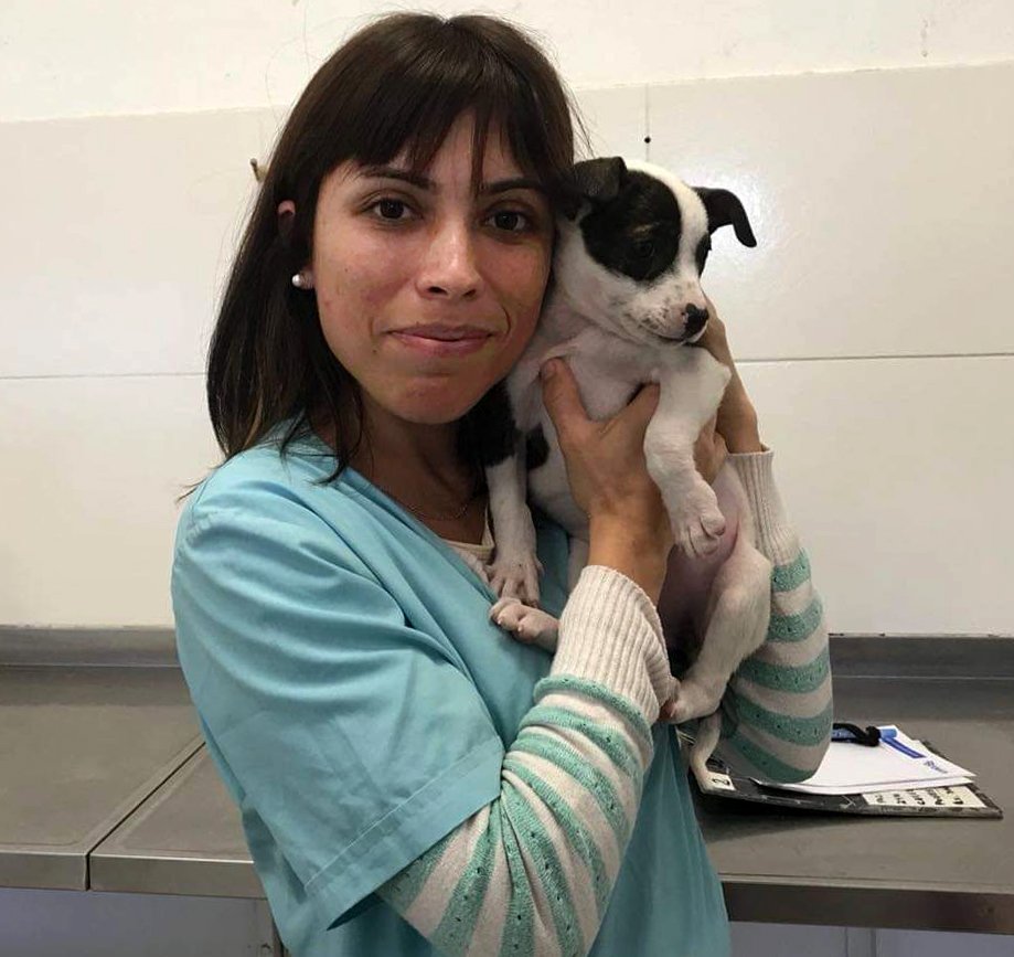 El Municipio de Brown convoca a veterinarias y veterinarios a sumarse a Zoonosis