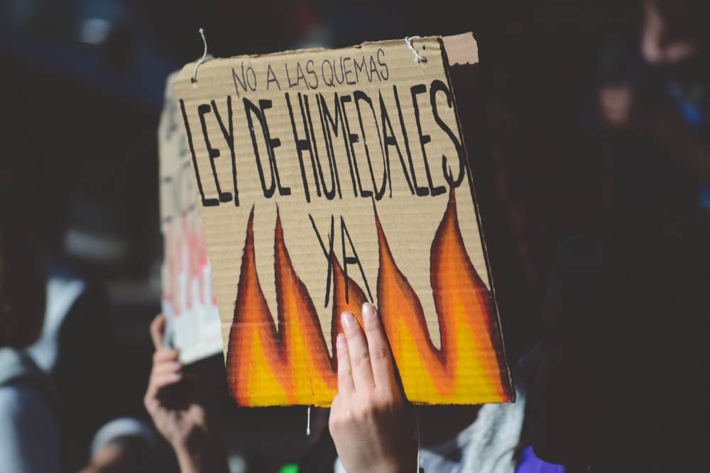 Diputados: JxC consiguió dictamen de mayoría sobre el proyecto de Ley de Humedales