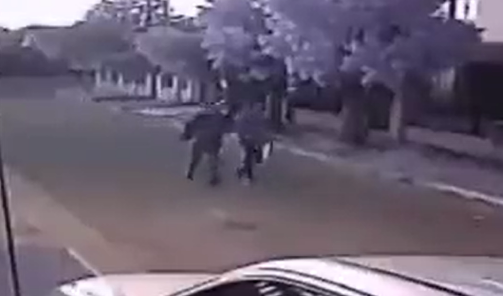 Salvajismo en Ciudad Evita: dos delincuentes ahorcaron a una enfermera para robarle en su casa