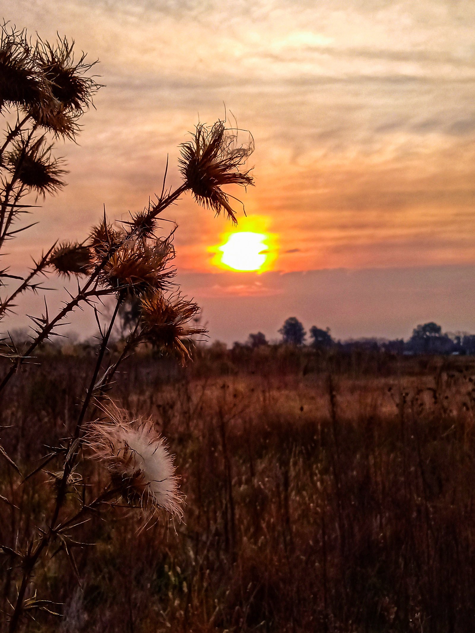 Brown: el Municipio difundió las increíbles imágenes ganadoras del concurso de fotografía ambiental