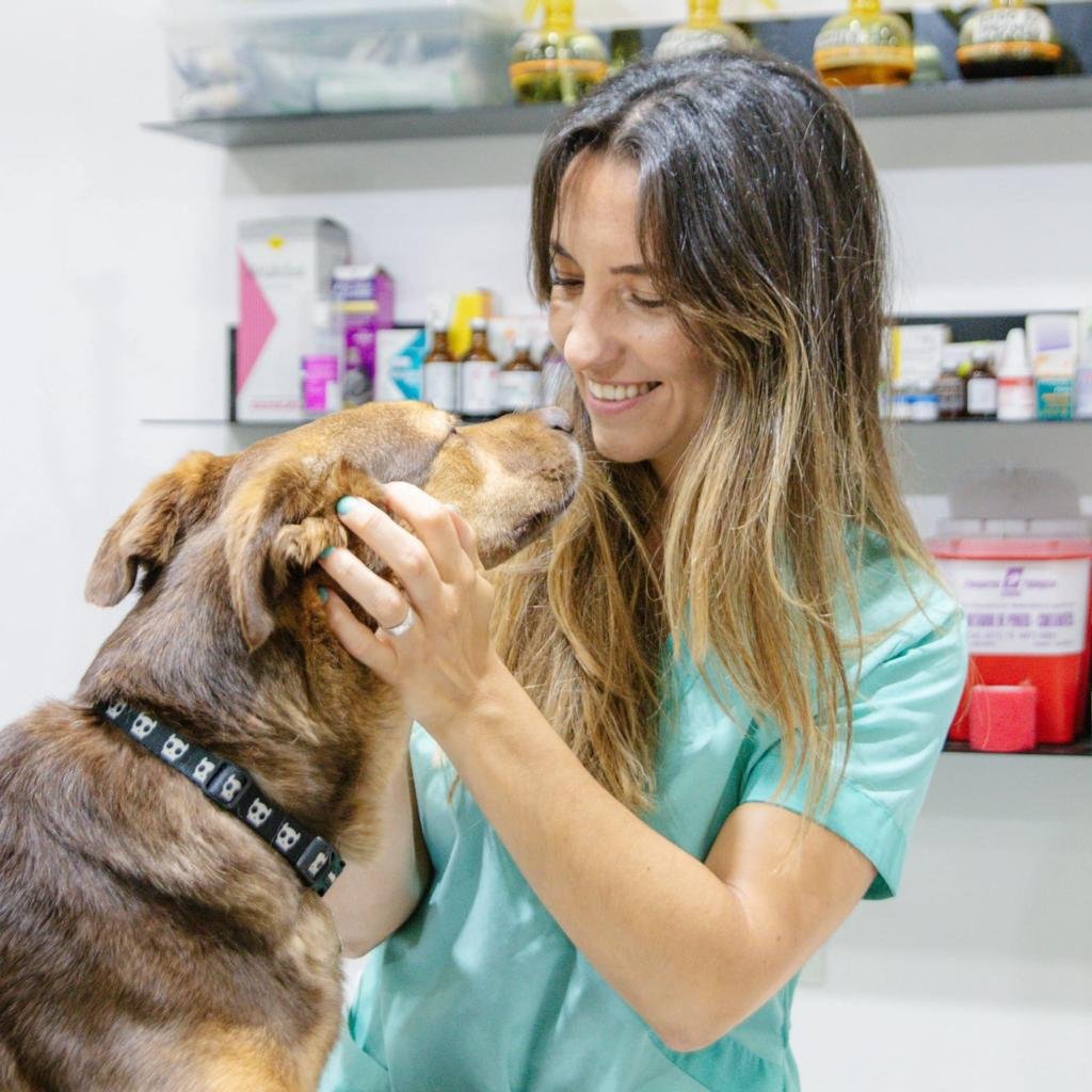 Pirotecnia: conocer a nuestro animal es la clave para manejarnos en estas fiestas