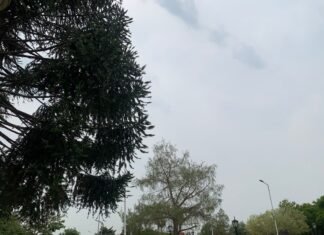 Jueves inestable con una máxima de 26 grados