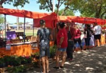 Guernica: Feria Soberana “Conectando mano a mano familias productoras y consumidores”