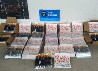 Eran todos de Vilma Palma: la Aduana incautó 483 discos de vinilos valuados en $5 millones que intentaban ingresar desde Uruguay