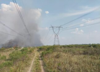 Incendio en líneas eléctricas dejó sin funcionar a la central Atucha I y provocó un apagón masivo en gran parte del país