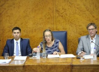 Con repaso de gestión, Marina Lesci inauguró las sesiones legislativas lomenses