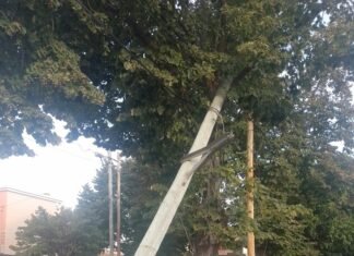 El Municipio de Echeverría denunció a Edesur por múltiples cortes del servicio y el mal estado de postes y cables