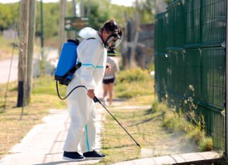 El Municipio de Brown profundiza las medidas para prevenir el dengue