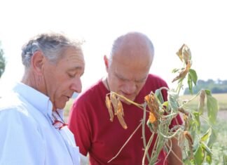 Néstor Grindetti le apuntó a nación y provincia