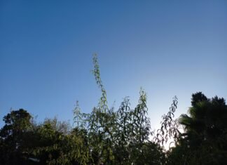 La semana arranca con algunas nubes y una máxima de 27 grados