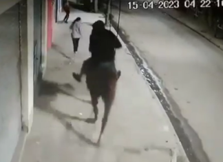 Florencio Varela: ladrón montado a caballo aterroriza a vecinos que salen temprano a trabajar