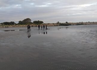 Investigación en curso: hallan cadáver en la costa de Quilmes