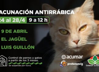 Echeverría: operativos de vacunación antirrábica para perros y gatos