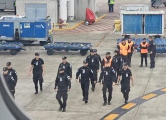 Aeropuerto de Ezeiza: indagan a la azafata de Aerolíneas Argentinas detenida por una amenaza de bomba