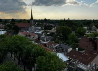 Día Mundial del árbol: la forestación que distingue al Barrio Inglés de Temperley