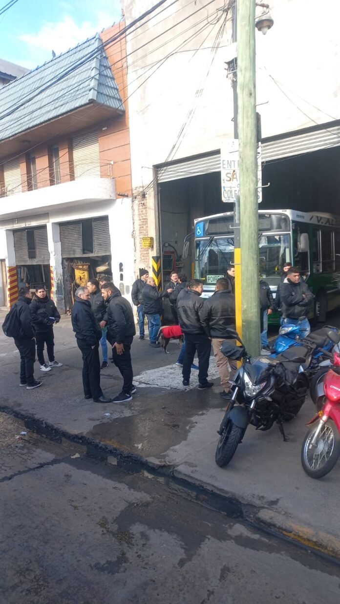 WhatsApp Image 2023-06-29 at 11.14.41 (1)