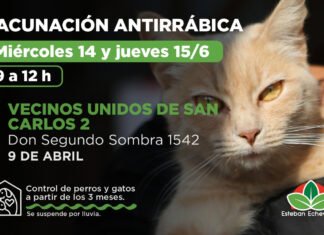 Operativos de vacunación antirrábica y control para perros y gatos en 9 de Abril