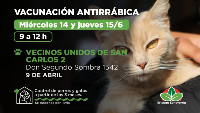 unnamed - 2023-06-13T081806.986