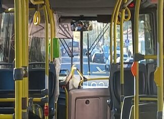 Miles de personas impedidas de viajar por el paro de colectivos
