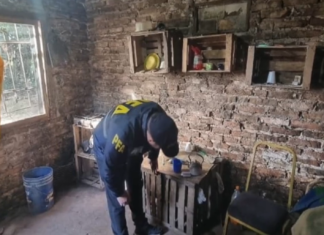 En Ezeiza y Cañuelas: rescatan a siete personas que eran explotadas en campos frutihortícolas