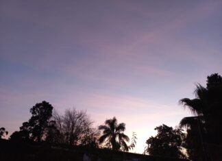 Martes nublado con probabilidad de lluvias aisladas y una máxima de 14 grados