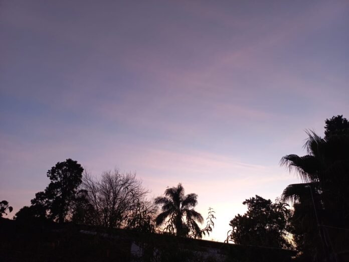 IMG-20230725-WA0151