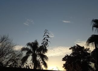 Sábado algo nublado y con una máxima de 17 grados