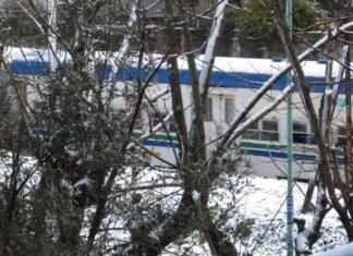 El día que en Turdera nevó