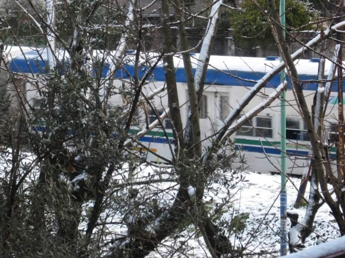 WhatsApp Image 2023-07-09 at 20.19.19