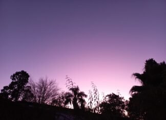 Viernes algo nublado y con una máxima de 11 grados