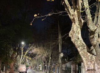 El concejal Jorge Villalba denunció que «en Lomas destruyen el adoquinado protegido por ordenanza»