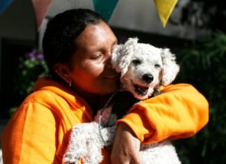 En julio, Zoonosis de Brown multiplica los operativos de castración en instituciones