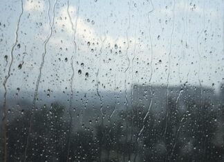 Viernes ventoso, con algunas lluvias y una máxima de 16 grados