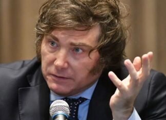 Resultados PASO 2023: los mitos del votante de Milei