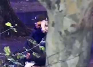 Monte Grande: Cuatro hombres fueron detenidos tras robar una remisería