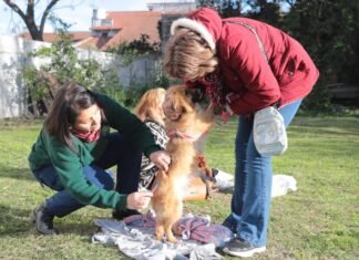 El Municipio realizó una jornada de vacunación antirrábica para perros y gatos en Luis Guillón
