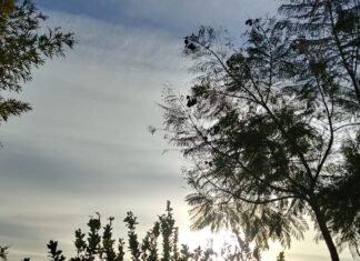 Arranca una nueva semana con cielo algo nublado y una máxima de 18 grados