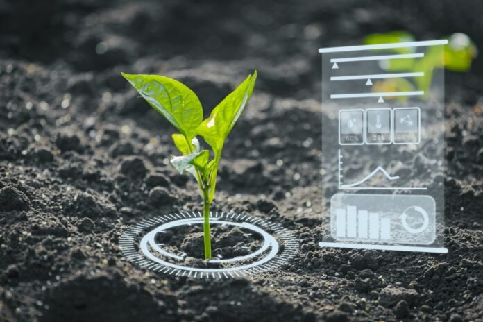 Agriculture and artificial intelligence technology in smart farm for monitoring seed and plants