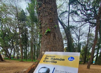 El «Parque Ramón Carrillo» se consolida como pulmón verde de Brown