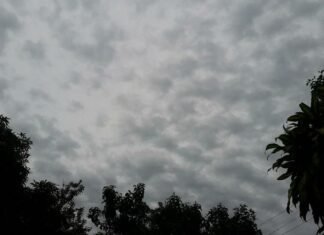 Viernes algo nublado, ventoso y con máxima de 20 grados