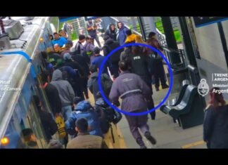 Lomas de Zamora: robó un celular en el Tren Roca, intentó escapar pero fue detenido