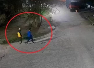 Lanús: jubilado sacó a pasear al perro, fue interceptado por delincuentes quienes lo llevaron de nuevo a su casa y lo asesinaron frente a su mujer